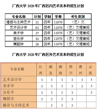 广西大学2020年艺术类本科专业招生计划