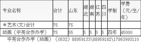 青岛科技大学2020年艺术类本科专业招生计划
