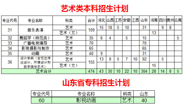 聊城大学东昌学院2020年艺术类专业招生计划