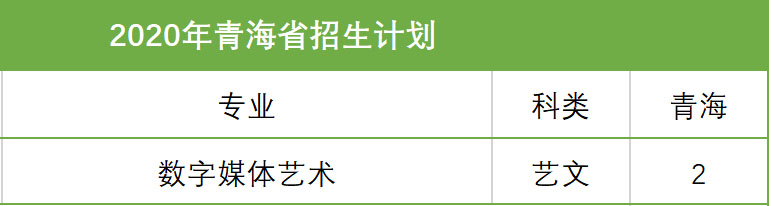 西安科技大学高新学院2020年艺术类本科招生计划