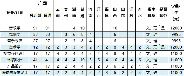 百色学院2020年艺术类本科专业招生计划