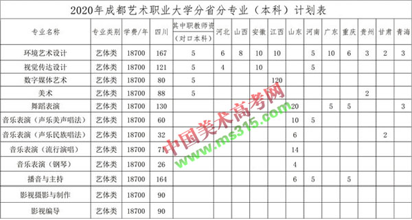 成都艺术职业大学2020年艺术类专业招生计划