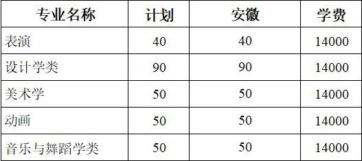 安徽师范大学皖江学院2020年安徽省艺术类本科招生计划