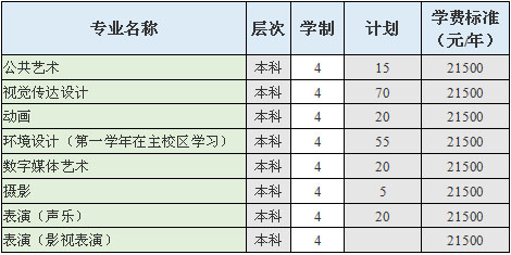 2020年三江学院艺术类本科专业招生计划