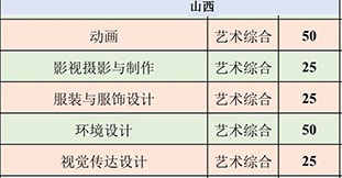 山西工学院2020年艺术类本科招生计划
