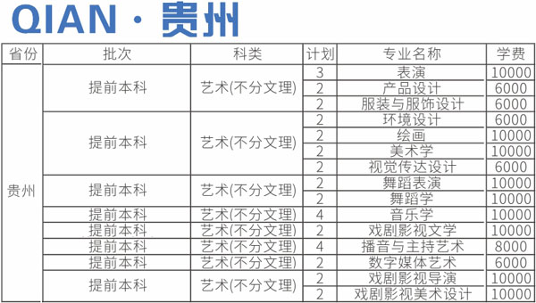 四川师范大学2020年艺术类本科专业招生计划