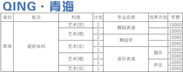 四川师范大学2020年艺术类本科专业招生计划