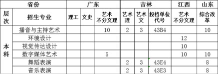 湖南信息学院2020年湖南省艺术类专业招生计划