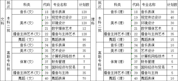 湖南信息学院2020年湖南省艺术类专业招生计划