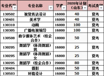 潍坊理工学院2020年山东省艺术类专业招生计划