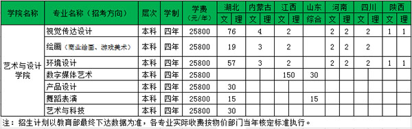 2020年武汉工商学院艺术类本科招生计划