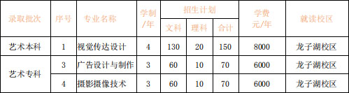 河南财政金融学院2020年河南省艺术类专业招生计划