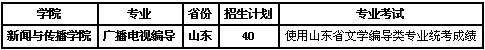 2021年青岛大学艺术类本科专业招生计划