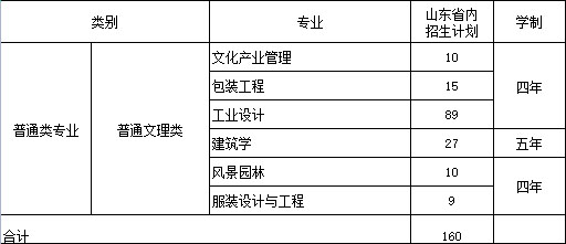 山东工艺美术学院2021年山东省内本专科招生计划
