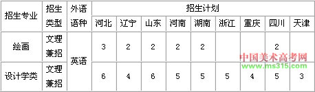 南开大学2020年美术类本科专业招生计划