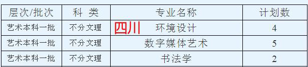 西安思源学院2021年艺术类本科专业招生计划