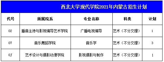 西北大学现代学院2021年艺术类本科专业招生计划