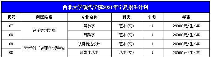 西北大学现代学院2021年艺术类本科专业招生计划
