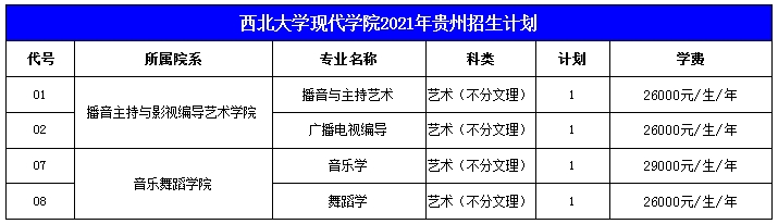 西北大学现代学院2021年艺术类本科专业招生计划