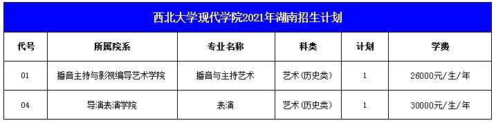 西北大学现代学院2021年艺术类本科专业招生计划