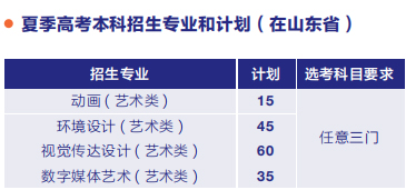 青岛城市学院2021年美术类本科专业招生计划