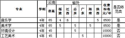 文山学院2021年艺术类本科专业招生计划