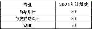 合肥城市学院2021年美术类本科专业招生计划