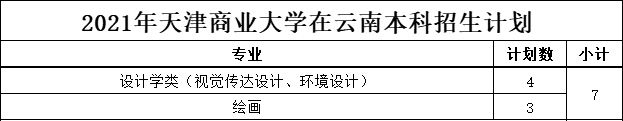 天津商业大学2021年美术类本科专业招生计划