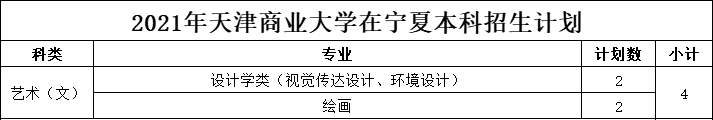 天津商业大学2021年美术类本科专业招生计划