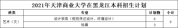 天津商业大学2021年美术类本科专业招生计划