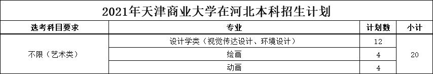 天津商业大学2021年美术类本科专业招生计划