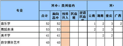 六盘水师范学院2021年艺术类本科专业招生计划