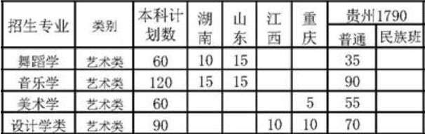 凯里学院2021年艺术类本科专业招生计划