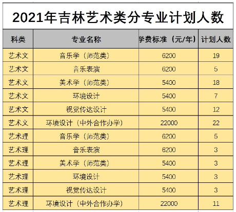 白城师范学院2021年艺术类本科专业招生计划