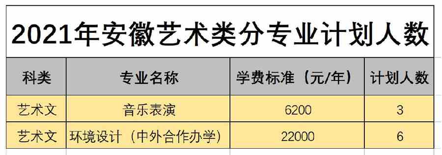 白城师范学院2021年艺术类本科专业招生计划