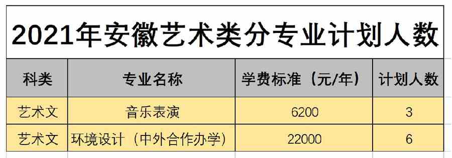 白城师范学院2021年艺术类本科专业招生计划