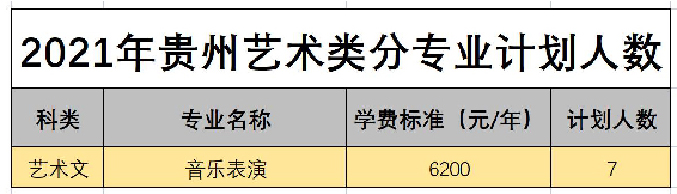 白城师范学院2021年艺术类本科专业招生计划