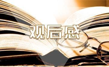 消防日《中国骄傲》观后感范文