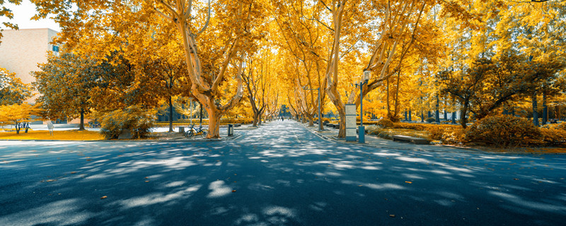 重庆工商大学1.jpg