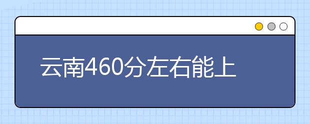 云南高考460分左右能上什么样的大学