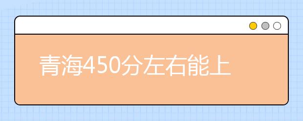 青海高考450分左右能上什么样的大学