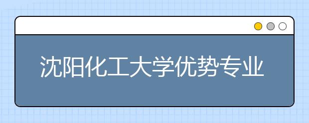 沈阳化工大学优势专业排名,2021年沈阳化工大学最好的专业排名