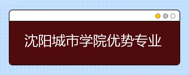 沈阳城市学院优势专业排名,2021年沈阳城市学院最好的专业排名