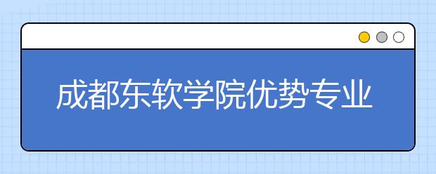 成都东软学院优势专业排名,2021年成都东软学院最好的专业排名