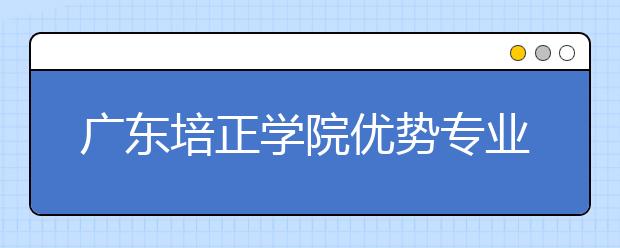 广东培正学院优势专业排名,2021年广东培正学院最好的专业排名