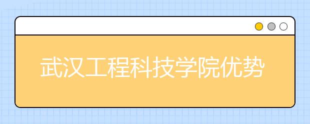 武汉工程科技学院优势专业排名,2021年武汉工程科技学院最好的专业排名