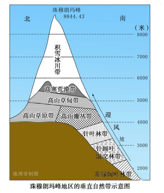海拔:山地的海拔越高,带谱可能越复杂;3.