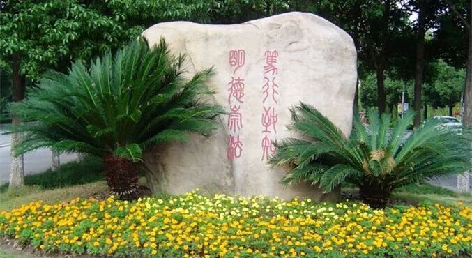这十所大学很吃香！热度和录取线超过部分985！