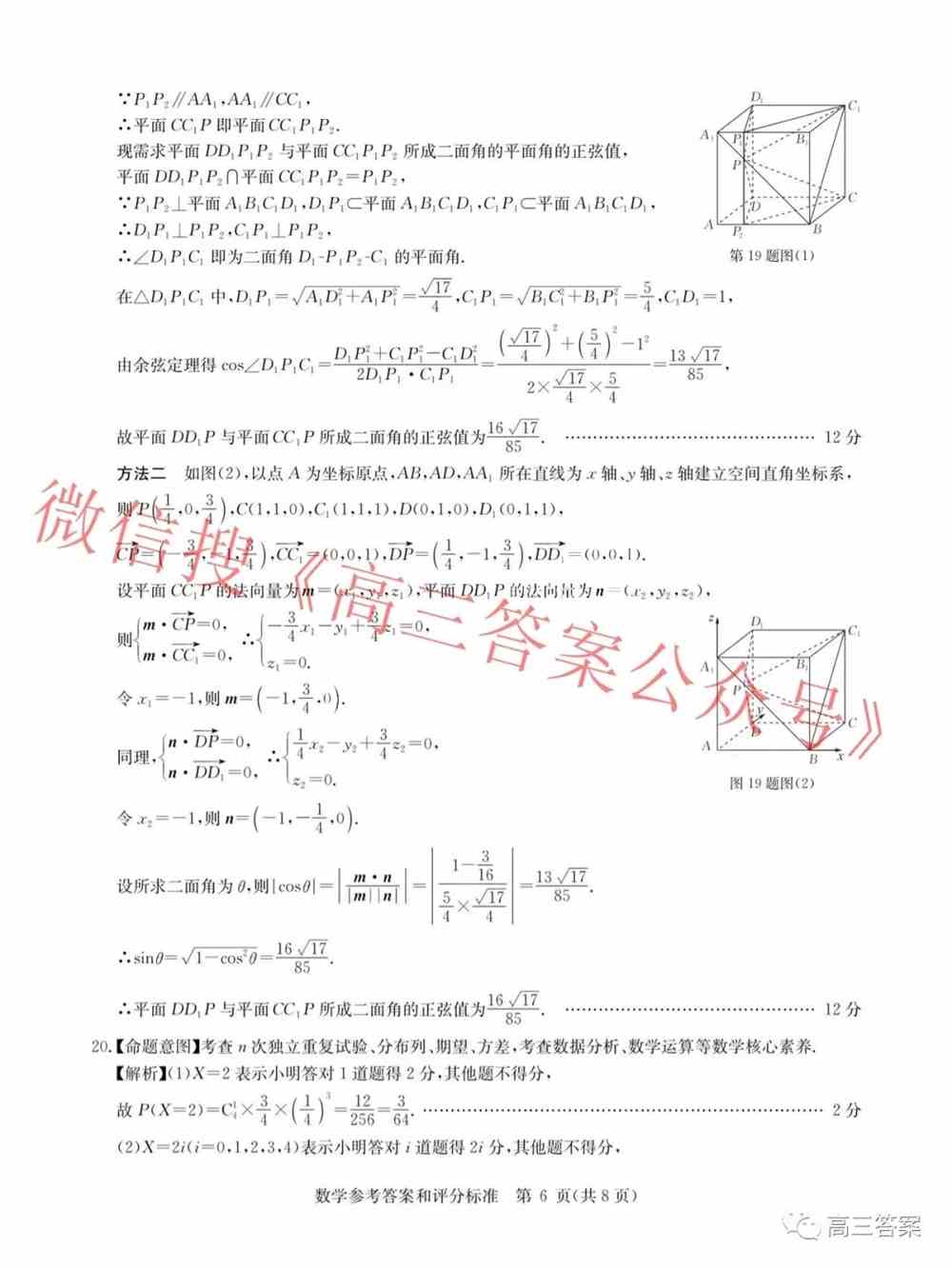 华大新高考联盟2022届高三11月教学质量测评答案