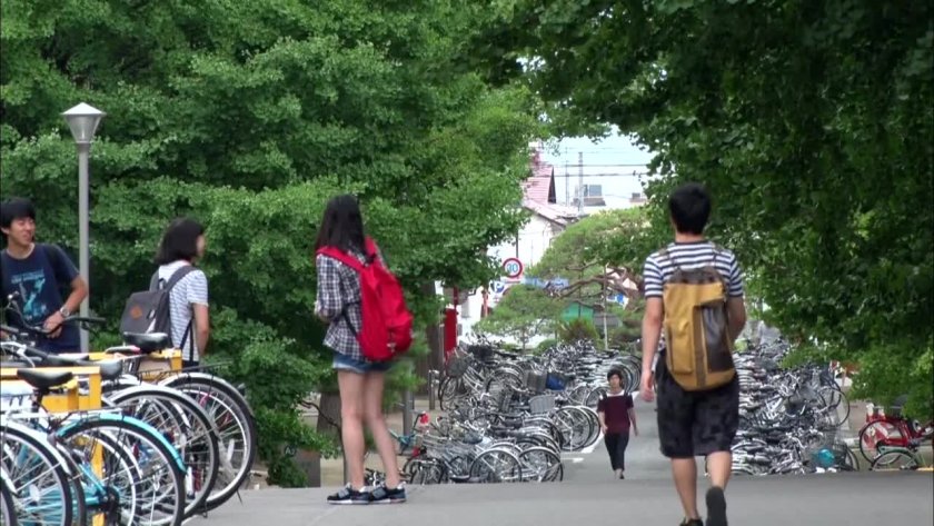 阿卡索留学中介靠谱吗，看完才明白